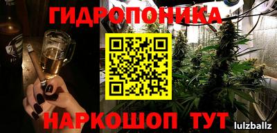 прущие грибы Гулькевичи