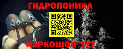 прущие грибы Гулькевичи